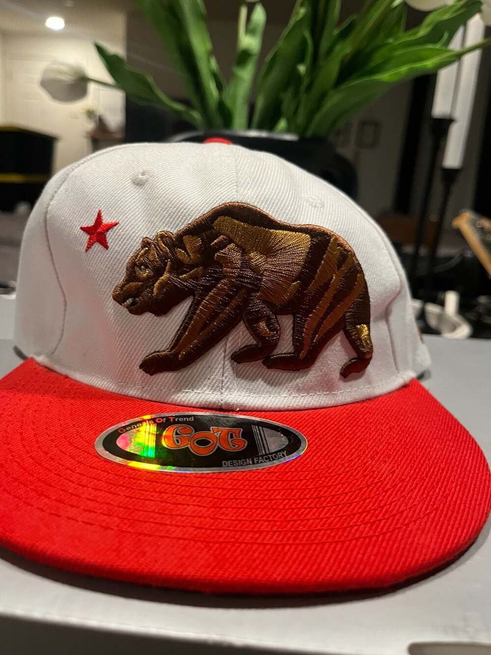 Aksels CALIFORNIA Grizzly Flag Snapback Trucker Hat Mesh Ball Cap Embroidered